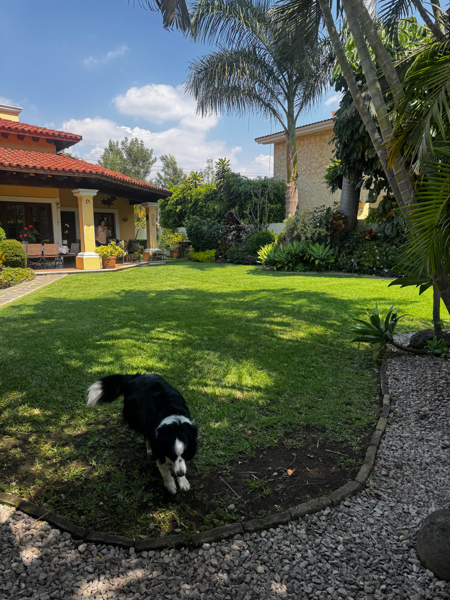 Casa en venta en Residencial Sumiya, Jiutepec — foto 3 de 35