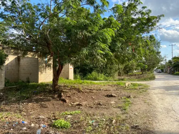 Terreno en venta en Cancún Centro, Benito Juárez — foto 2 de 5