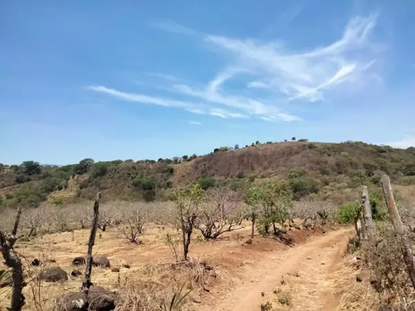 Terreno en venta en Benito Juarez, Tepic — foto 3 de 5