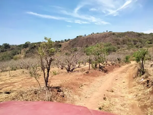 Terreno en venta en Benito Juarez, Tepic — foto 2 de 5