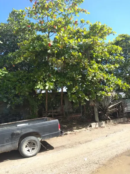 Casa en venta en Villas de San Vicente, Bahía de Banderas — foto 3 de 6