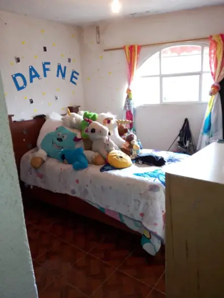 Casa en venta en Santa Cecilia Tepetlapa, Xochimilco — foto 3 de 14