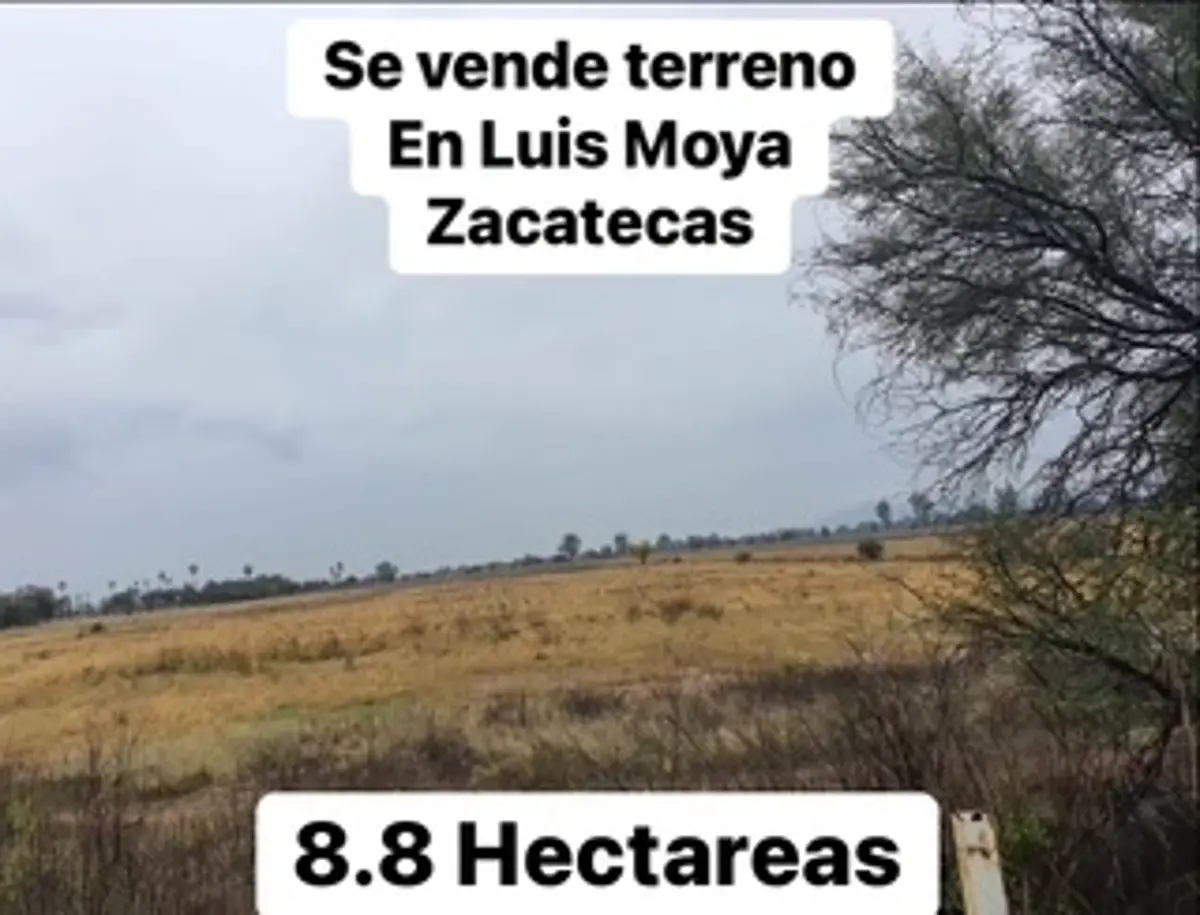 Terreno en venta en Luis Moya Centro, Luis Moya — foto 1 de 2