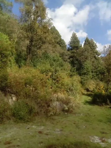 Terreno en venta en Coatepec, Ixtapaluca — foto 3 de 5