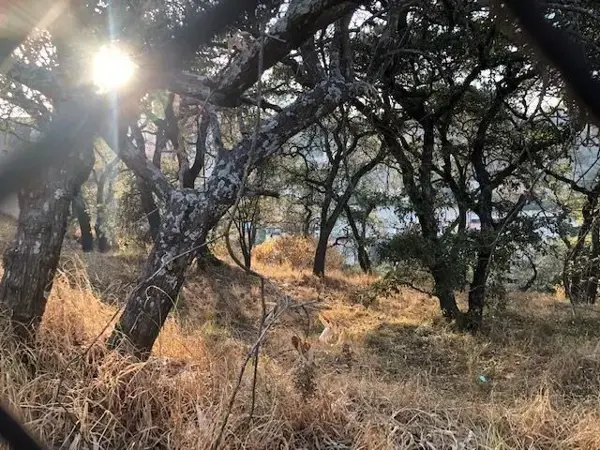 Terreno en venta en Bosques de las Lomas, Cuajimalpa de Morelos — foto 2 de 15