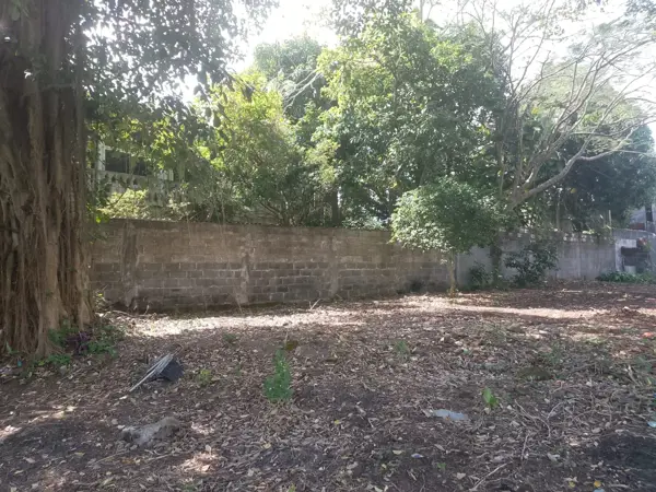 Casa en venta en Lindavista, Catemaco — foto 3 de 12