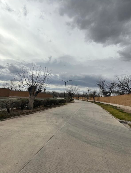 Terreno en venta en La Barranca, Torreón — foto 3 de 9