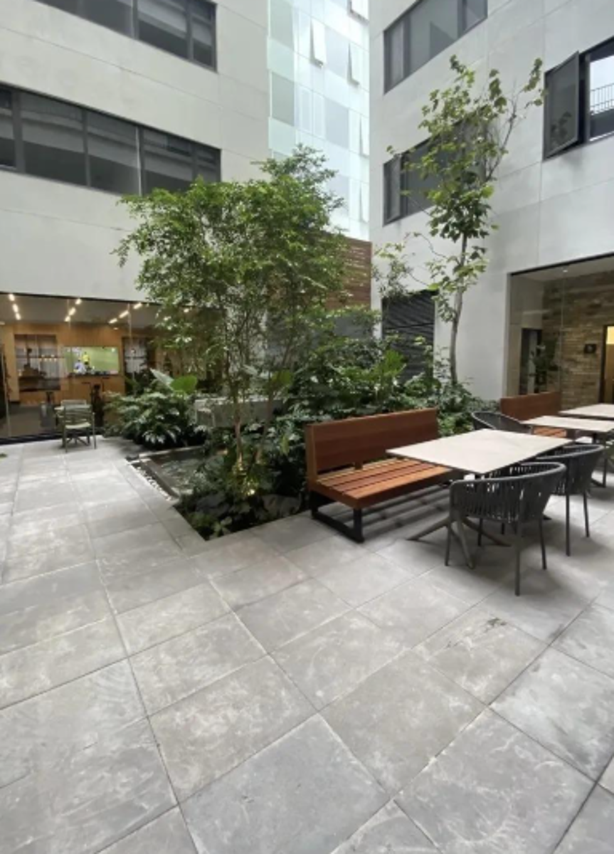Departamento en renta en Roma Norte, Cuauhtémoc — foto 1 de 13