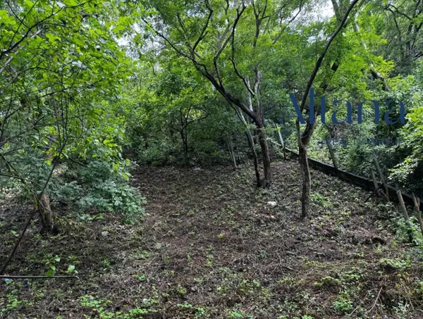 Terreno en venta en Mazunte, Santa María Tonameca — foto 2 de 5
