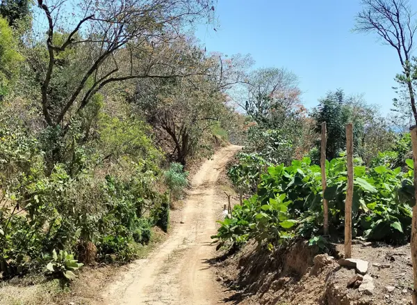 Terreno en venta en San Agustinillo, Santa María Tonameca — foto 3 de 7