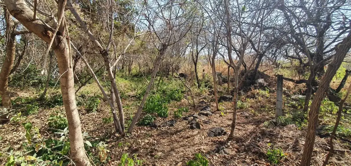 Terreno en venta en San Bartolo Morelos, Morelos — foto 1 de 5