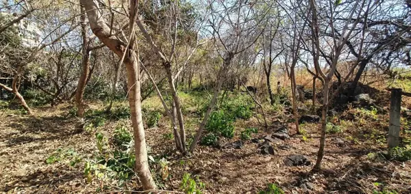 Terreno en venta en San Bartolo Morelos, Morelos — foto 3 de 5