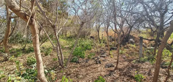 Terreno en venta en San Bartolo Morelos, Morelos — foto 2 de 5
