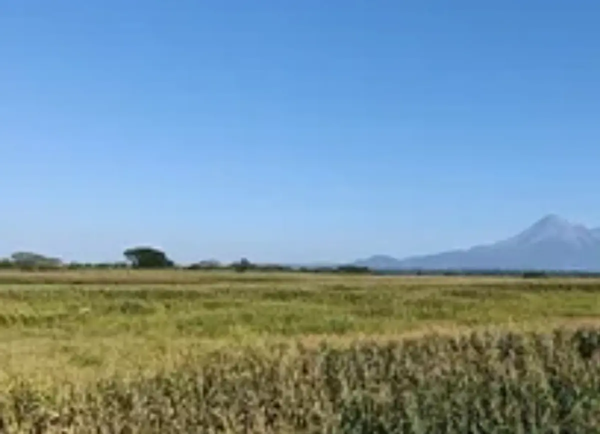Terreno en venta en Cuauhtemoc, Cuauhtémoc