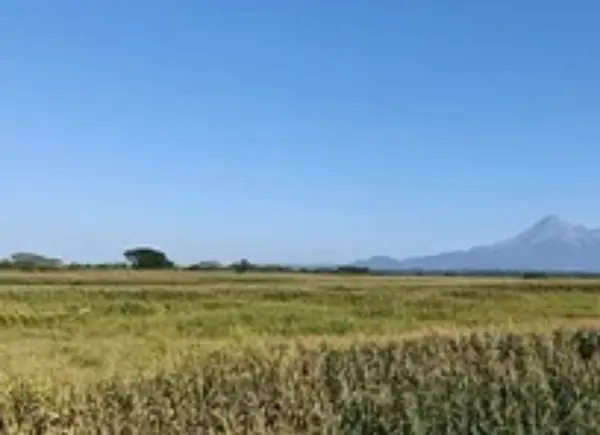 Terreno en Venta en Cuauhtemoc, Cuauhtémoc, Colima