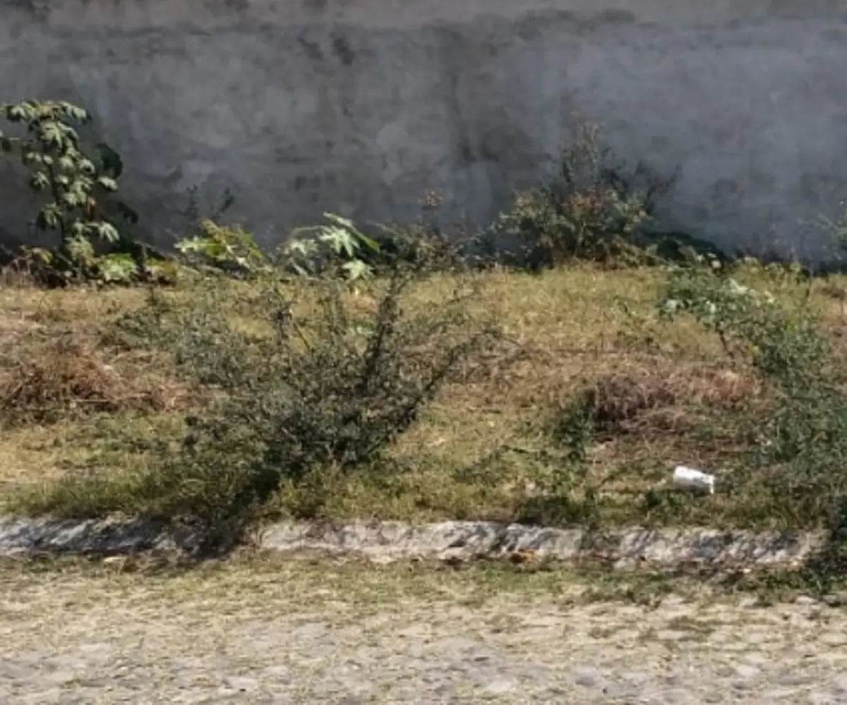 Terreno en venta en Los Angeles, Colima