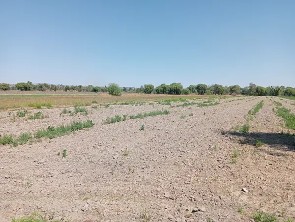 Terreno en venta en Domingo Arenas, Zacatelco — foto 2 de 11