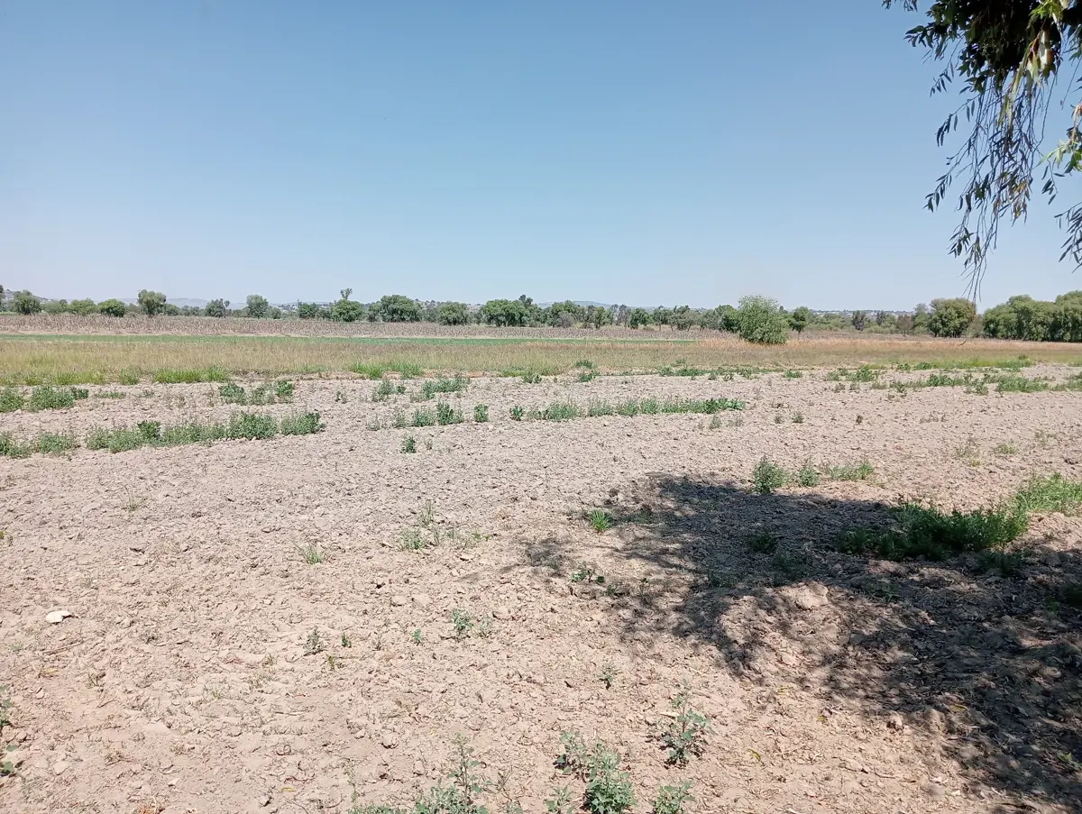 Terreno en venta en Domingo Arenas, Zacatelco — foto 1 de 11