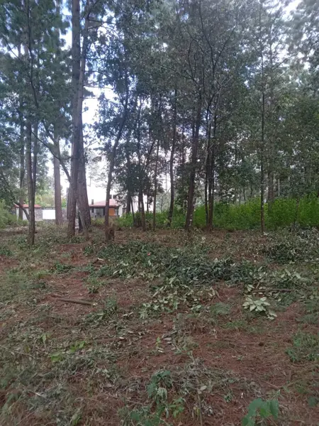 Terreno en venta en Cerro Gordo, Valle de Bravo — foto 3 de 5
