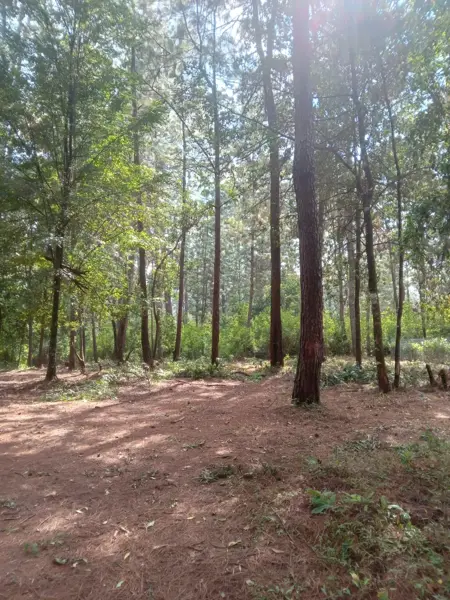 Terreno en venta en Cerro Gordo, Valle de Bravo — foto 2 de 5