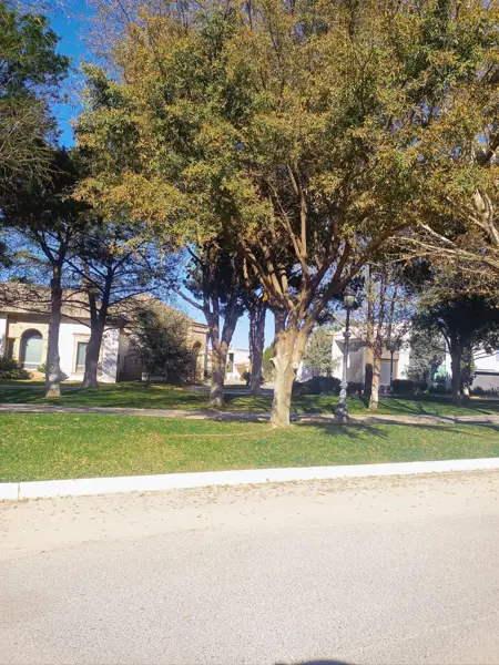 Terreno en venta en Villas de San Miguel, Saltillo — foto 3 de 7