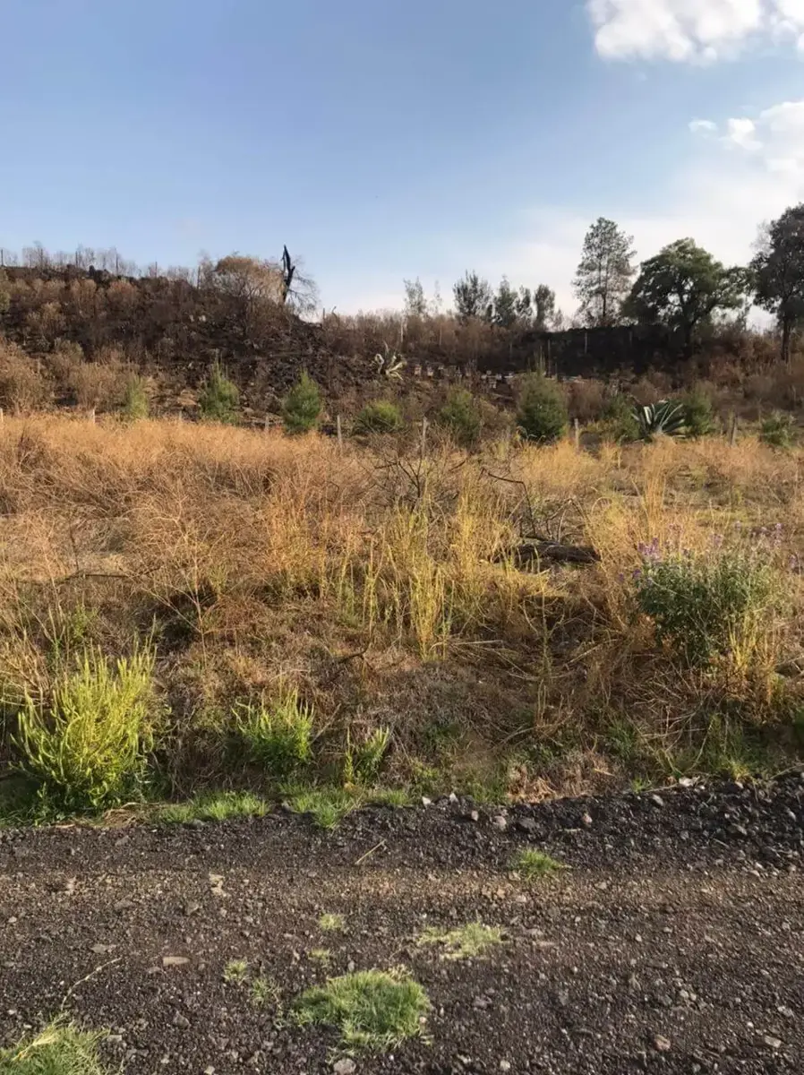 Terreno en venta en San Mateo Tezoquipan Miraflores, Chalco — foto 1 de 6