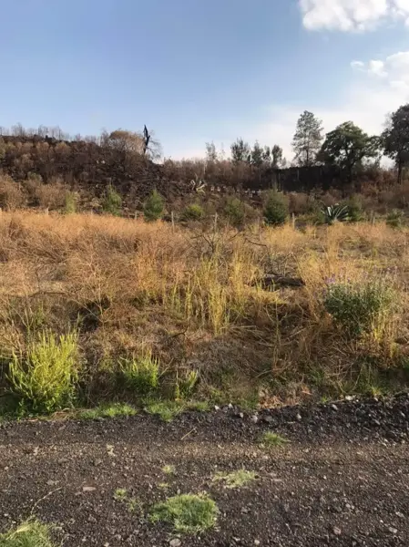 Terreno en Venta en San Mateo Tezoquipan Miraflores, Chalco, México