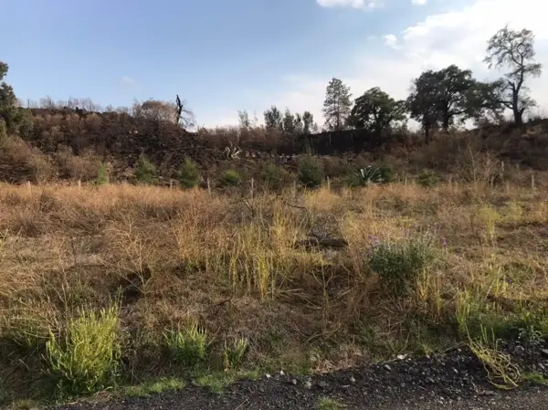 Terreno en venta en San Mateo Tezoquipan Miraflores, Chalco — foto 3 de 6