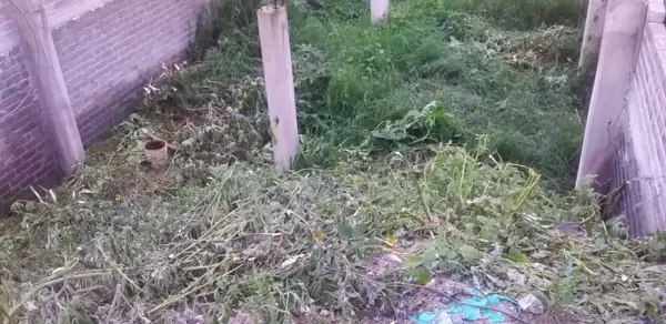Terreno en venta en Santa Cruz Xochitepec, Xochimilco — foto 2 de 7
