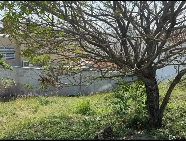 Terreno en venta en El Conchal, Alvarado — foto 2 de 3