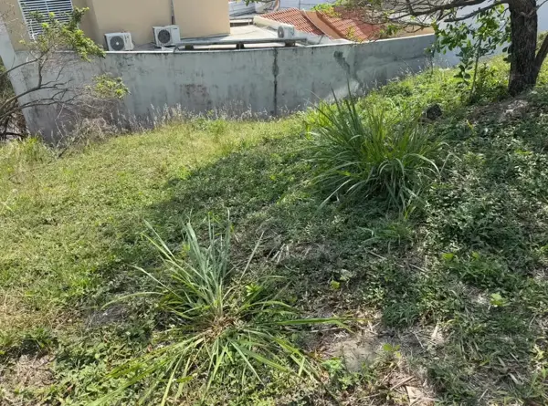 Terreno en venta en El Conchal, Alvarado — foto 3 de 3