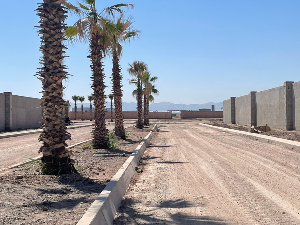 Terreno en venta en Los Viñedos, Torreón — foto 3 de 6