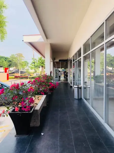 Local en renta en Gil y Sáenz (El Águila), Centro — foto 3 de 4