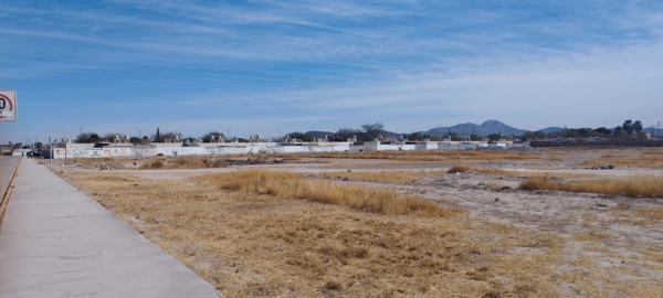 Terreno en venta en Quintas San Isidro, Lerdo — foto 2 de 6