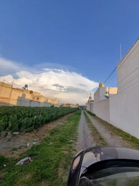 Terreno en venta en San Bernardino Tlaxcalancingo, San Andrés Cholula — foto 3 de 3