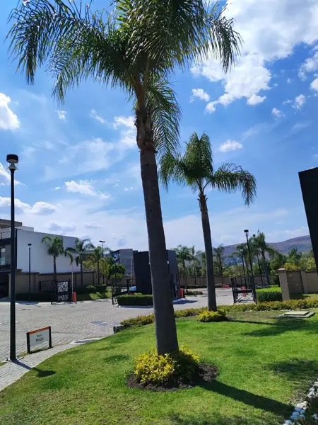 Casa en renta en San Bernardino Tlaxcalancingo, San Andrés Cholula — foto 3 de 25