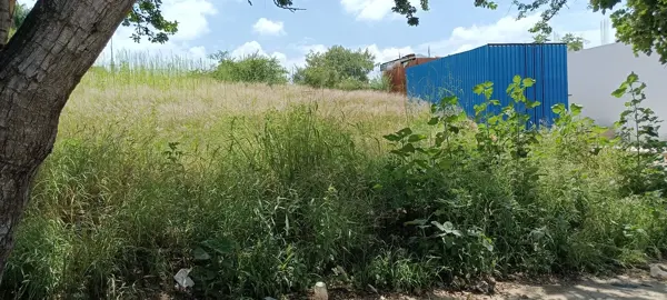 Terreno en venta en San Raymundo Jalpan, San Raymundo Jalpan — foto 2 de 10