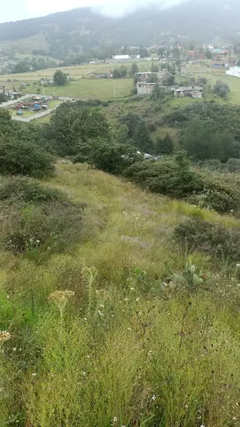 Terreno en venta en Tepotzotlán Centro, Tepotzotlán — foto 2 de 4