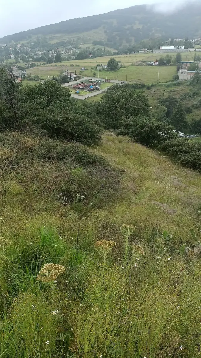 Terreno en venta en Tepotzotlán Centro, Tepotzotlán — foto 1 de 4