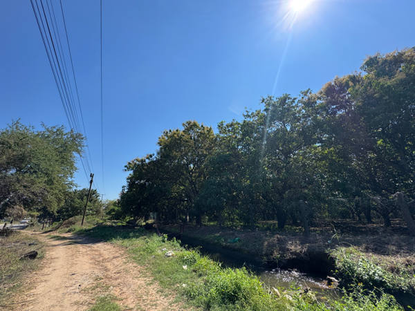 Terreno en renta en La Orilla, Lázaro Cárdenas — foto 3 de 14