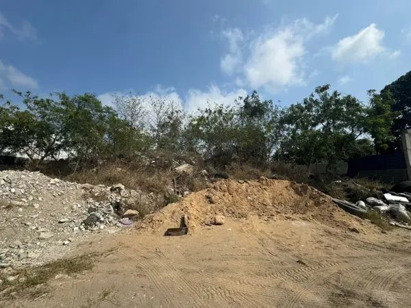 Terreno en venta en Américo Villarreal, Altamira — foto 3 de 3