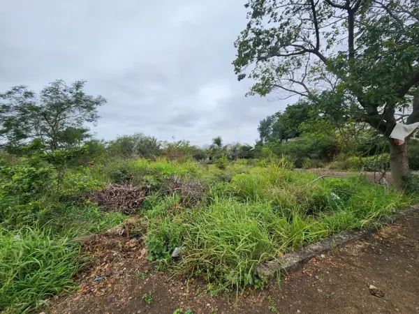 Terreno en venta en Petrolera Lindavista, Pueblo Viejo — foto 3 de 4