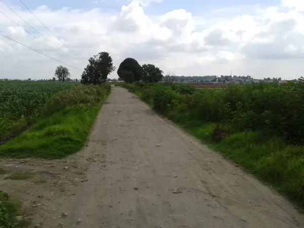 Terreno en venta en Chipilo de Francisco Javier Mina, San Gregorio Atzompa — foto 3 de 5