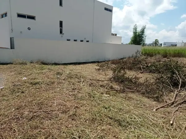 Terreno en venta en Real Mandinga, Alvarado — foto 3 de 22