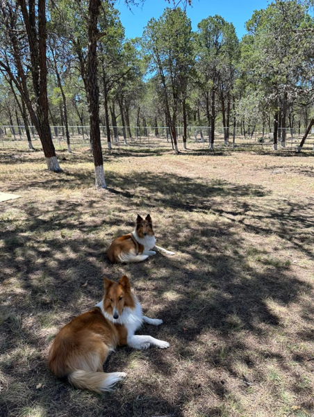 Terreno en venta en El Poleo, Arteaga — foto 2 de 9
