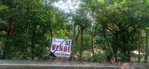 Terreno en venta en San Andres Tuxtla Centro, San Andrés Tuxtla — foto 3 de 22