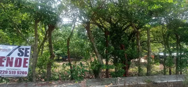 Terreno en venta en San Andres Tuxtla Centro, San Andrés Tuxtla — foto 2 de 22