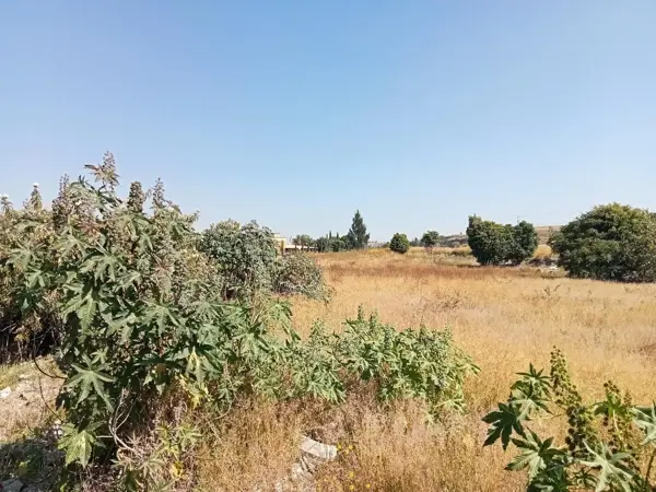 Terreno en venta en Santa Isabel Cholula, Santa Isabel Cholula — foto 3 de 15
