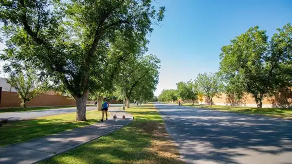 Terreno en venta en Las Villas, Torreón — foto 3 de 3