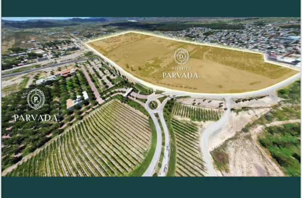 Terreno en venta en Parras, Parras — foto 3 de 7